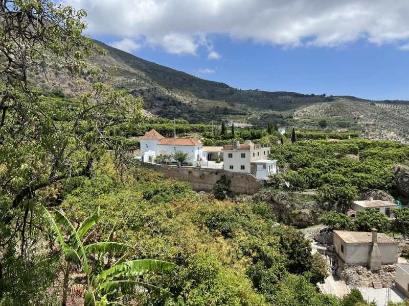 Ítrabo: Ermita de Bodijar, Cerro de Ítrabo, Orchards
