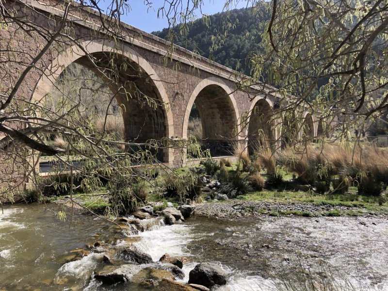 Órgiva: Ruta de los Olivos Centenarios