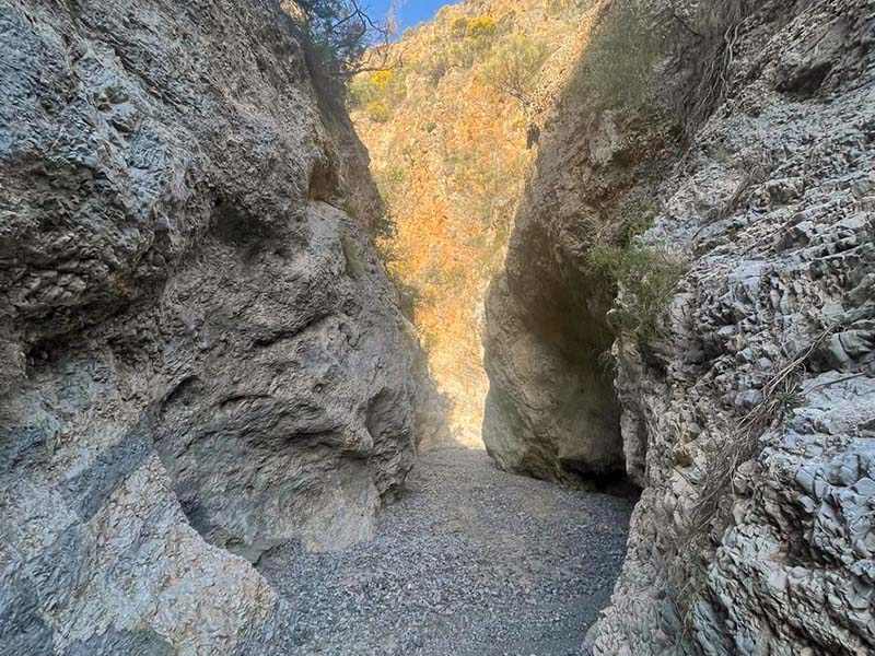 Guájar-Faragüit: Barranco de Jarales los Cortijuelos