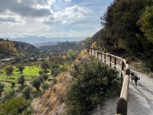 Nigüelas: El Pinillo, Falla de Nigüelas