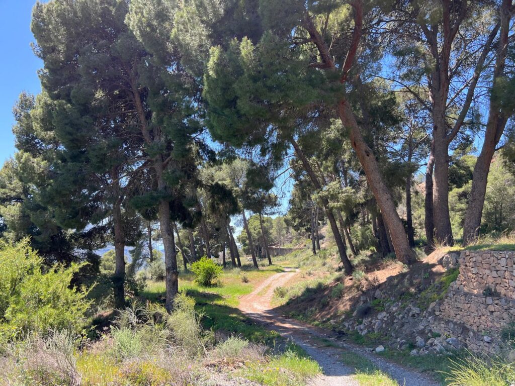 Vélez de Benaudalla: Puente de Rufino sobre el Rio Guadalfeo y Iglesia Nuestra Señora Del Rosario