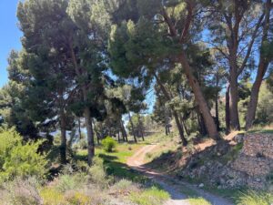 Vélez de Benaudalla: Puente de Rufino sobre el Rio Guadalfeo y Iglesia Nuestra Señora Del Rosario