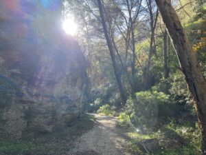 Nerja: Barranco de la Coladilla