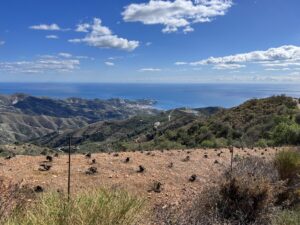 La Herradura: Bee-Eater including Peñon de los Castillejos