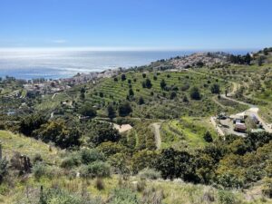 Almuñécar: Loma del Gato