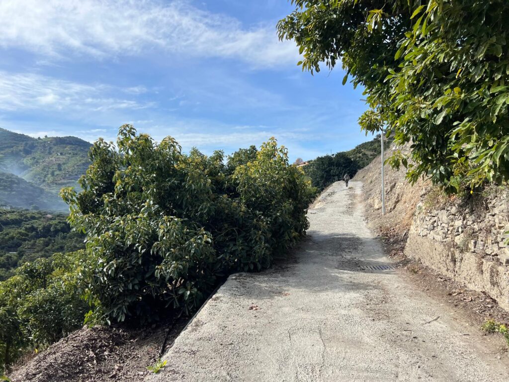 Jete: Around the Hills