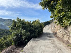 Jete: Around the Hills