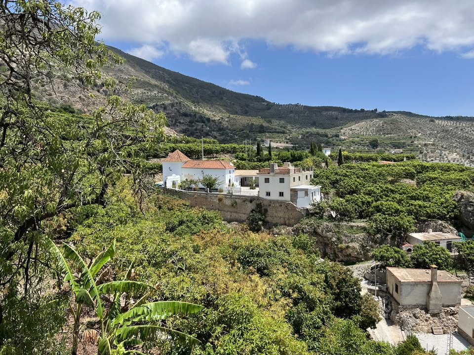 Ítrabo: Ermita de Bodijar, Cerro de Ítrabo, Orchards