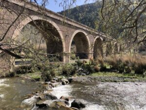 Órgiva: Ruta de los Olivos Centenarios