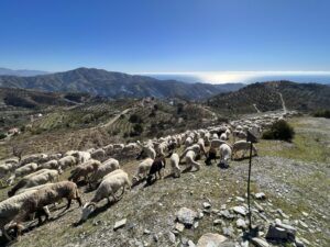El Cerval: Pico Moscaril