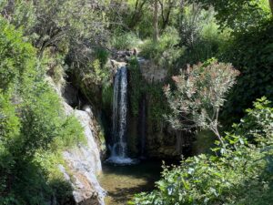 Canillas de Albaida: Río Cajula, Arroyo de Ciquilías
