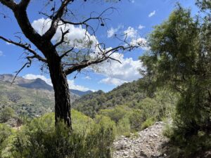 Guájar Alto: Iglesia de la Encarnación y Poza wuajar alto