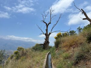 Lanjarón Acequias Cecarta y Aceituno, Huerta de las Monjas