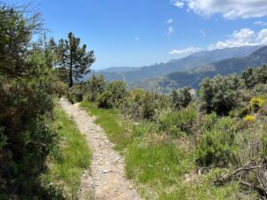 Lentegí: The Hidden Valley